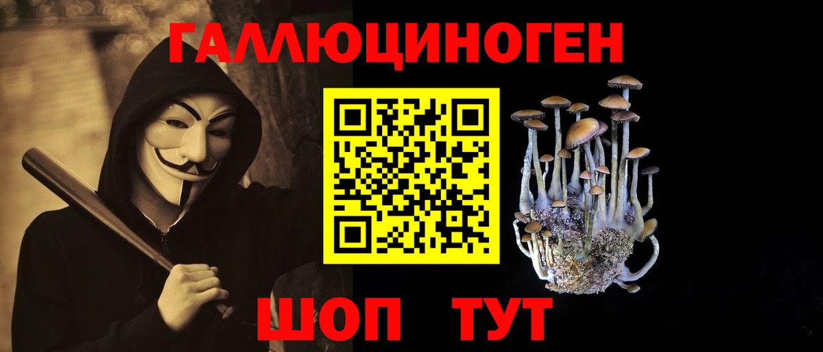 Псилоцибиновые грибы Psilocybe  Вход с VPN  Псилоцибиновые грибы GOLDEN TEACHER  Алексеевка 